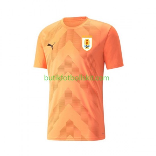 Uruguay Målvakt Män Borta Matchtröja World Cup 2022 Kortärmad