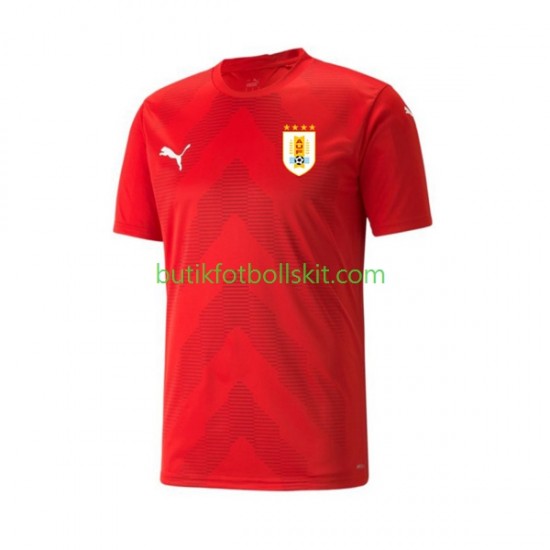 Uruguay Målvakt Män Hemma Matchtröja World Cup 2022 Kortärmad