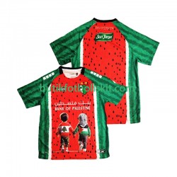 Club Deportivo Palestino Special Män Hemma Matchtröja 2025/26 Kortärmad
