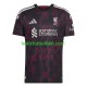 Liverpool Män Tredje Matchtröja /27 Kortärmad 2026