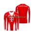 FC Bayern München Män Hemma Matchtröja 2025/26 Långärmad
