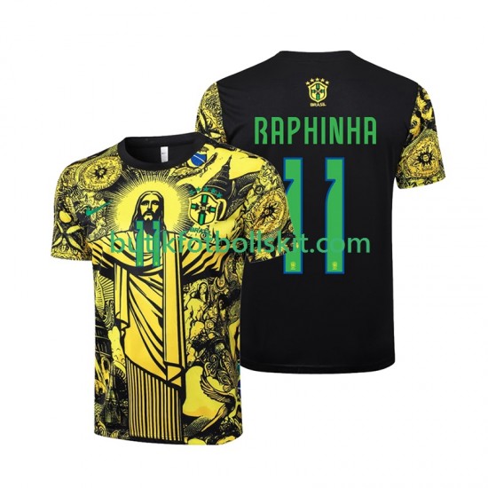 Brasilien RAPHINHA 11 Jesus Män Hemma Matchtröja 2024 Kortärmad