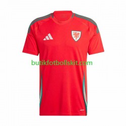 Wales Män Hemma Matchtröja 2024 Kortärmad