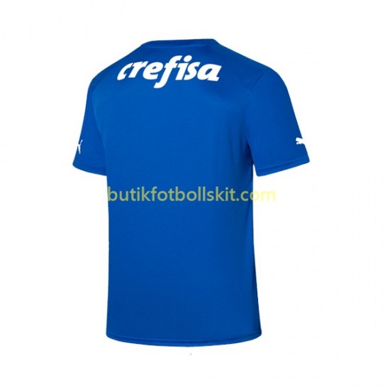 Palmeiras Målvakt Män Hemma Matchtröja 2023/24 Kortärmad