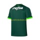 Palmeiras Män Hemma Matchtröja 2023/24 Kortärmad