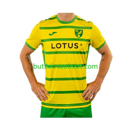 Norwich City Män Hemma Matchtröja 2023/24 Kortärmad