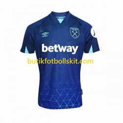 West Ham United Män Tredje Matchtröja 2023/24 Kortärmad