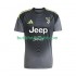 Juventus Målvakt Män Borta Matchtröja 2025/26 Kortärmad