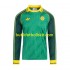 Celtic Special Män Hemma Matchtröja 2024 Långärmad
