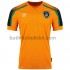 Irland Borta Matchtröja 2021/22 Kortärmad