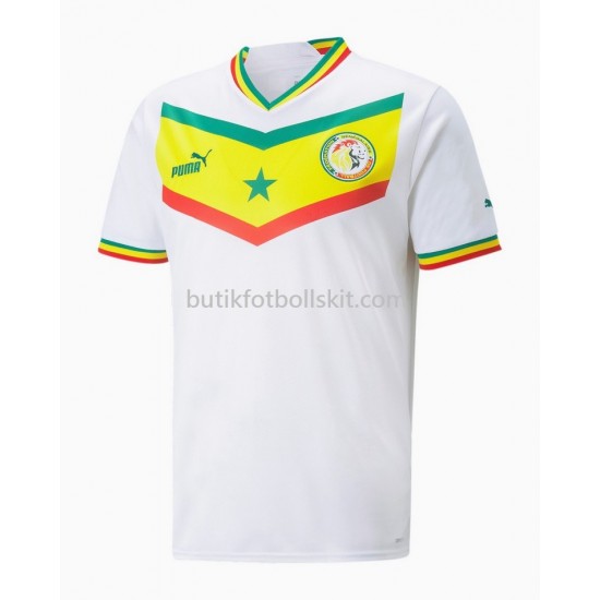Senegal Hemma Matchtröja World Cup 2022 Kortärmad