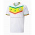 Senegal Hemma Matchtröja World Cup 2022 Kortärmad