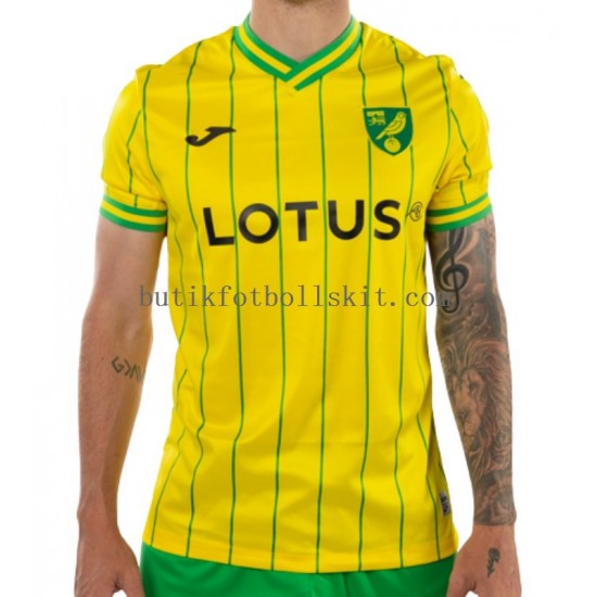 Norwich City Män Hemma Matchtröja 2022/23 Kortärmad