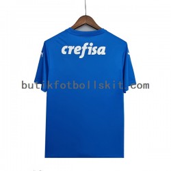 Palmeiras Målvakt Män Borta Matchtröja 2022/23 Kortärmad