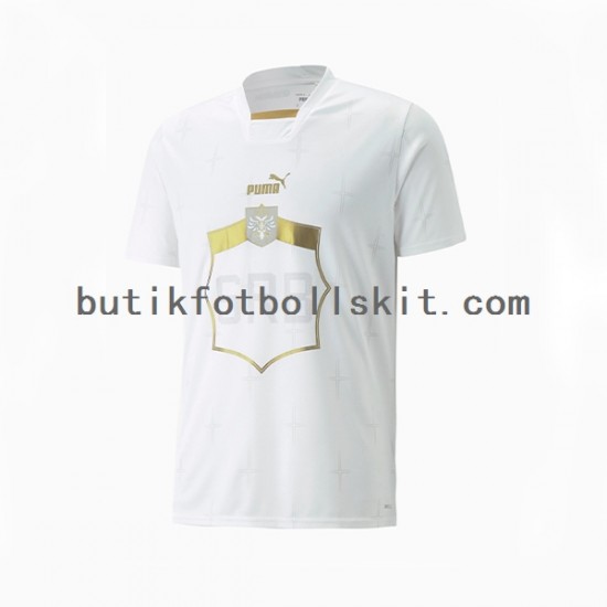 Serbien Män Borta Matchtröja World Cup 2022 Kortärmad