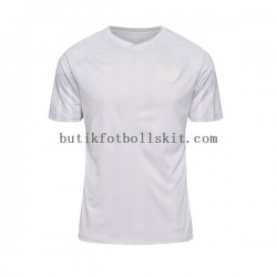 Danmark Män Borta Matchtröja World Cup 2022 Kortärmad