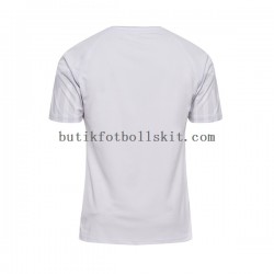 Danmark Män Borta Matchtröja World Cup 2022 Kortärmad