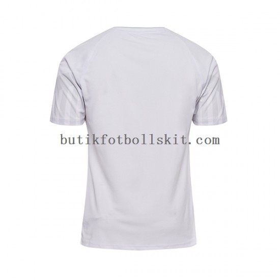 Danmark Män Borta Matchtröja World Cup 2022 Kortärmad