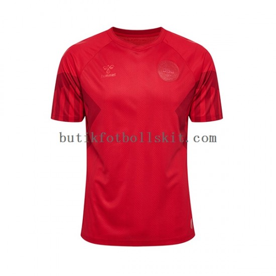 Danmark Män Hemma Matchtröja World Cup 2022 Kortärmad