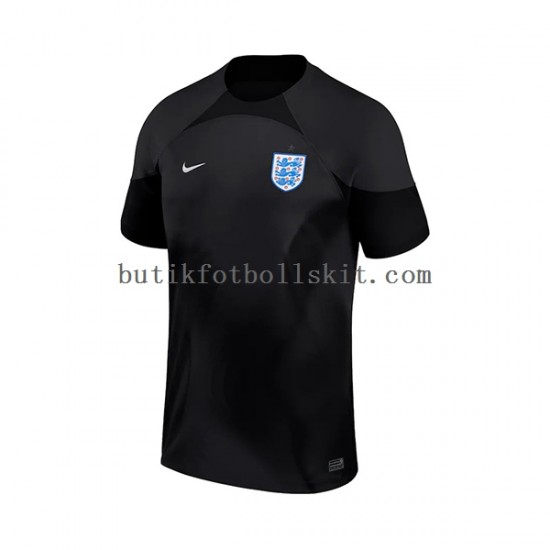 England Målvakt Män Hemma Matchtröja World Cup 2022 Kortärmad